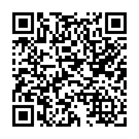 QR code for H10314
