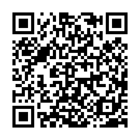 QR code for H10411