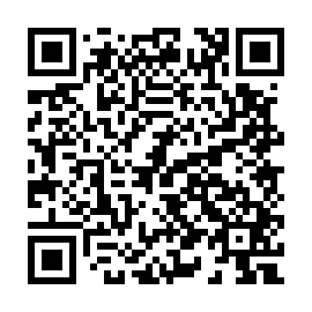 QR code for H10541