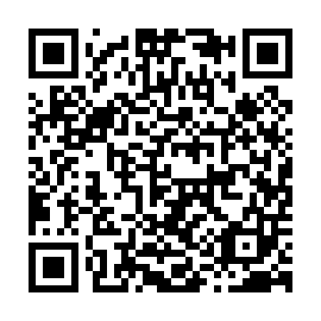 QR code for H11003