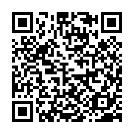 QR code for H11030