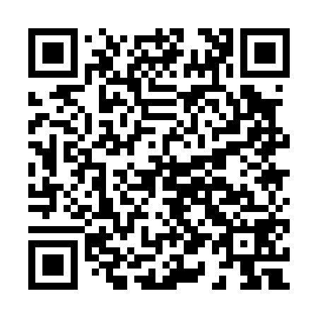 QR code for H11058