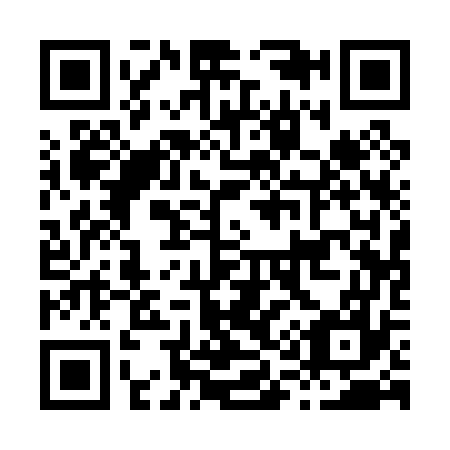 QR code for H11077
