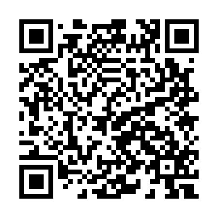 QR code for H11117