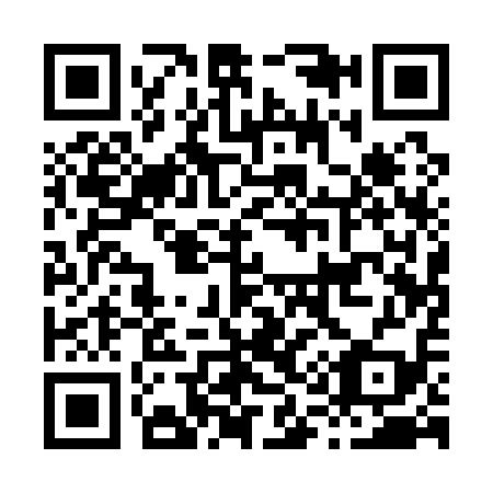 QR code for H11119