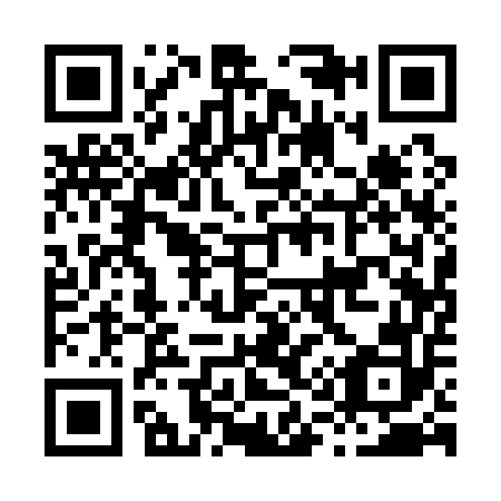 QR code for H11152