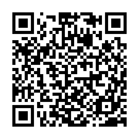 QR code for H11377