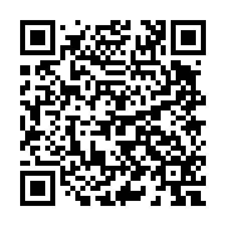 QR code for H11416