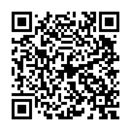QR code for H11417