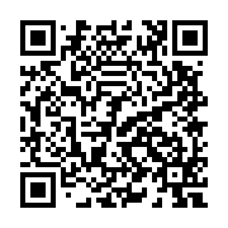 QR code for H11595