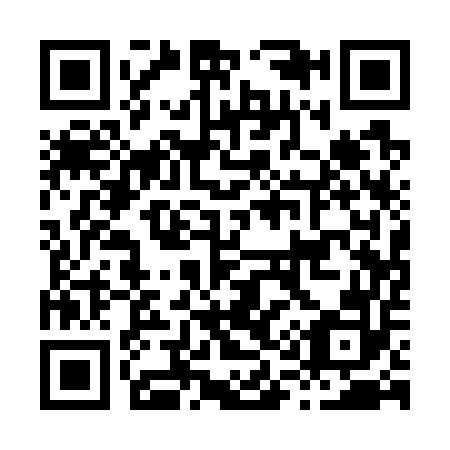 QR code for H11752