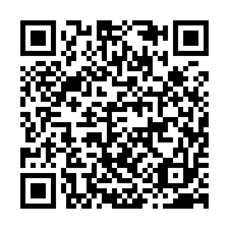 QR code for H11913