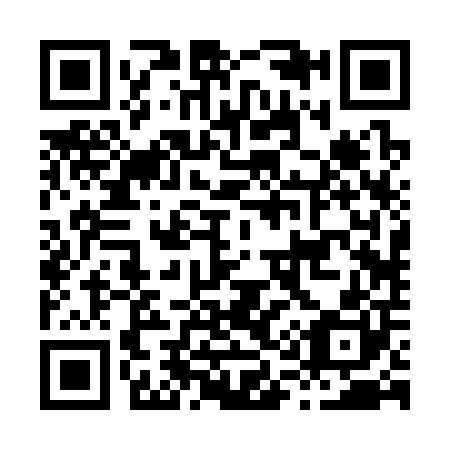 QR code for H12300