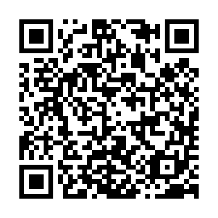 QR code for H12451