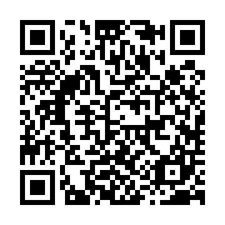 QR code for H12507