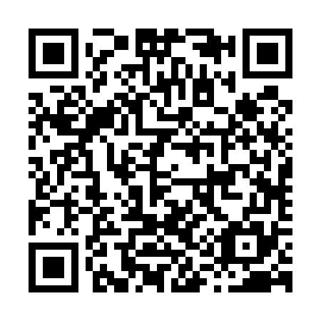 QR code for H12575