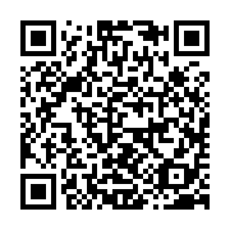 QR code for H12918