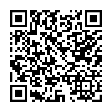 QR code for H12923