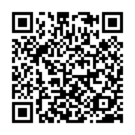 QR code for H13009