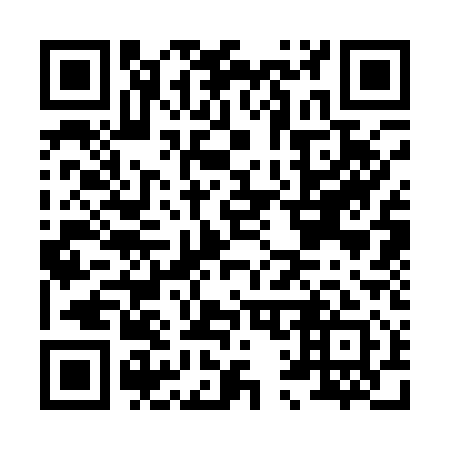 QR code for H13111
