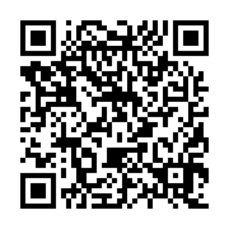 QR code for H13114