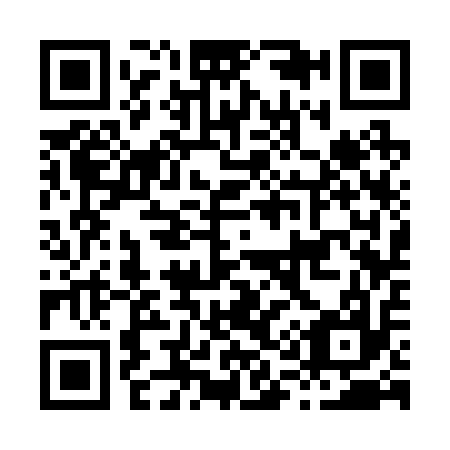 QR code for H13217