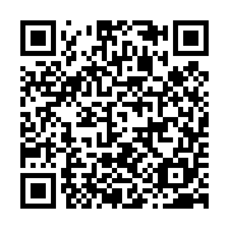 QR code for H13455