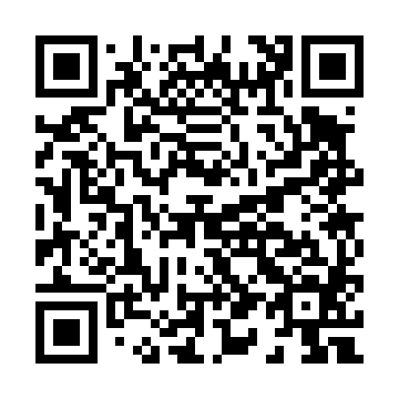 QR code for H13484