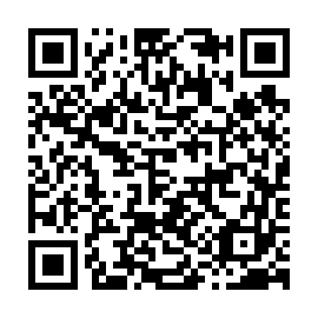 QR code for H13663