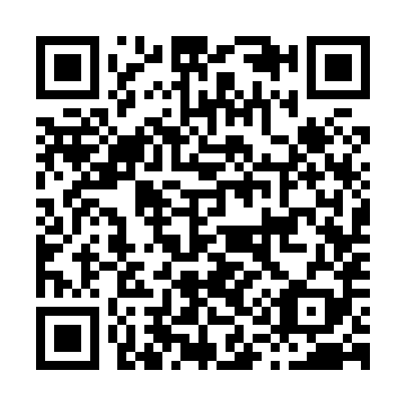 QR code for H13889