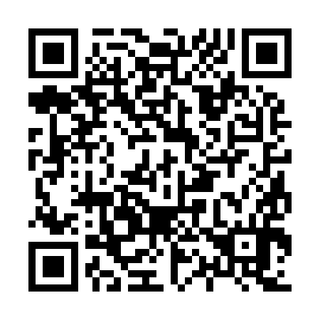 QR code for H13994