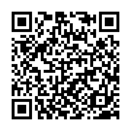 QR code for H14333