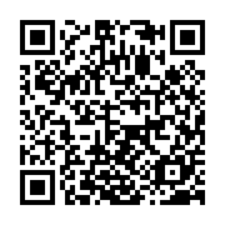QR code for H15005