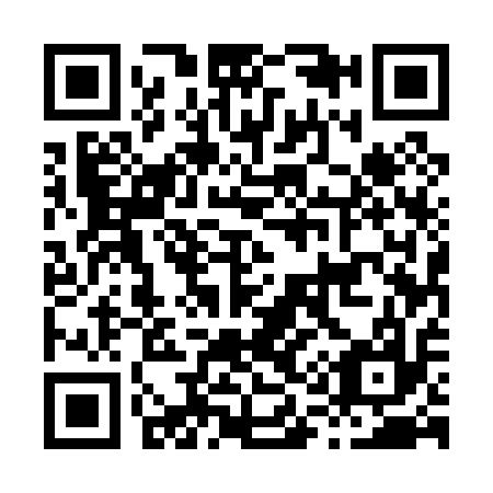 QR code for H15017