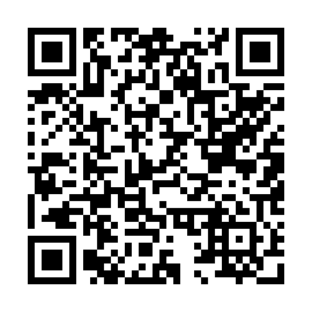 QR code for H15201