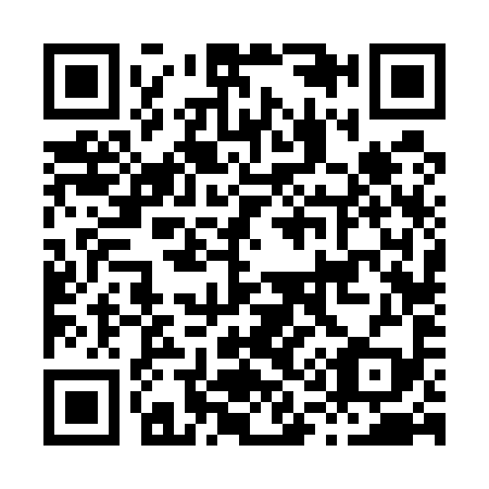 QR code for H16599