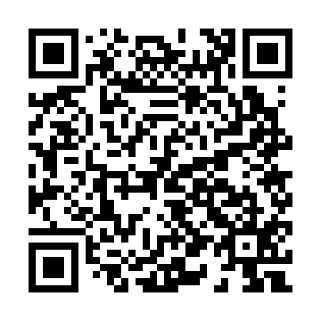 QR code for H17315