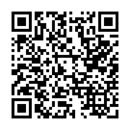 QR code for H17429