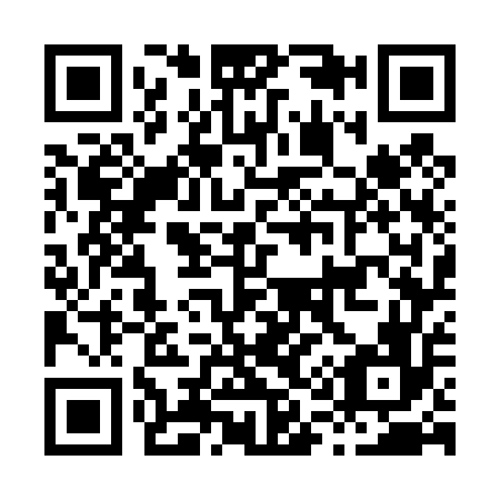 QR code for H17456