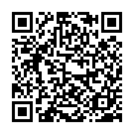 QR code for H17503
