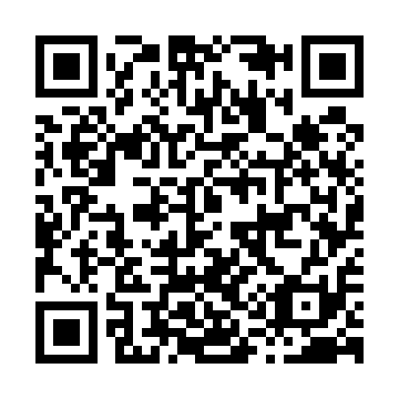 QR code for H17511