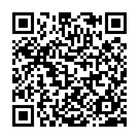 QR code for H17524