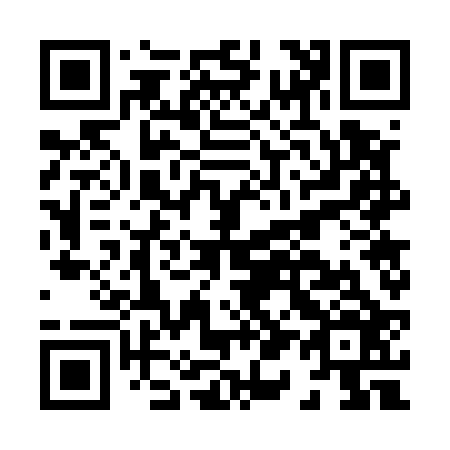 QR code for H17526