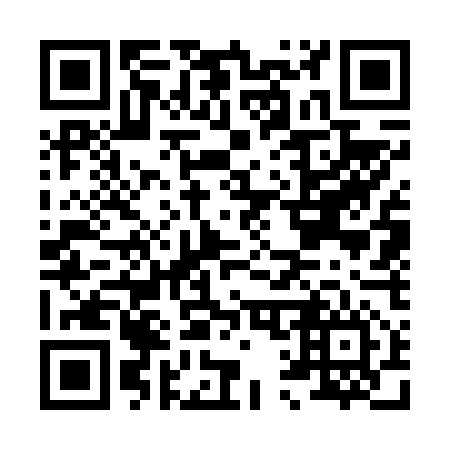 QR code for H17656