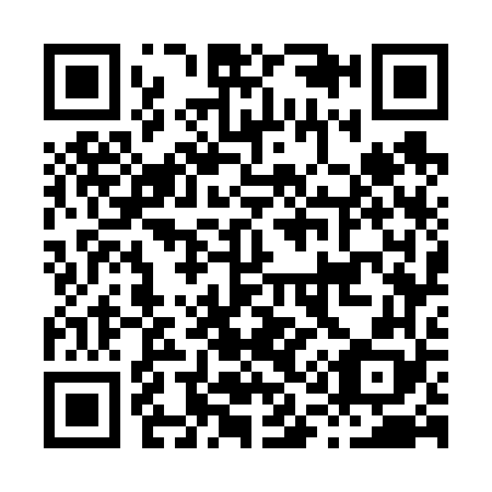 QR code for H17668
