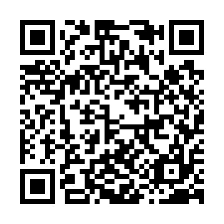 QR code for H17717