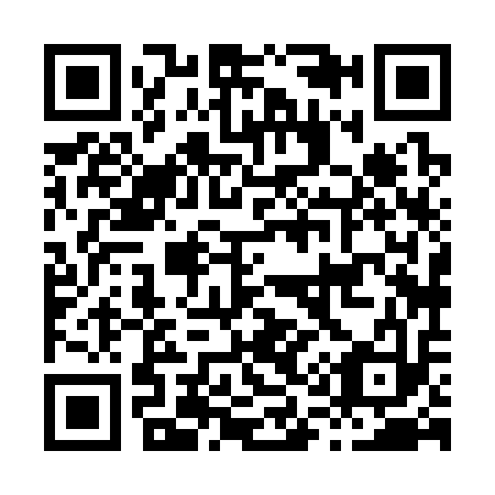 QR code for H18313
