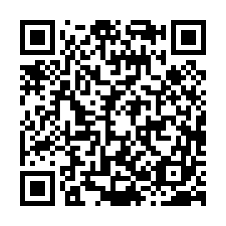 QR code for H20063