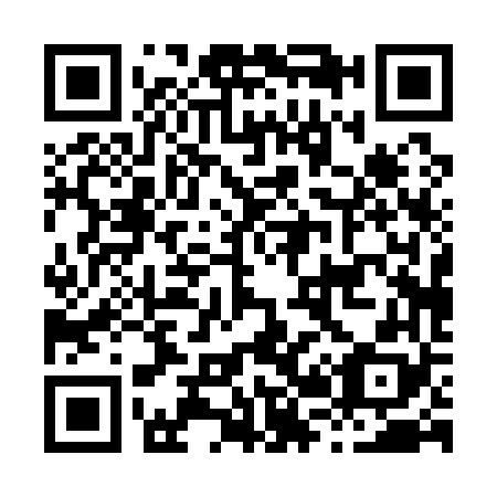 QR code for H20168