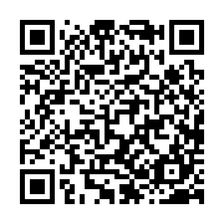 QR code for H20304